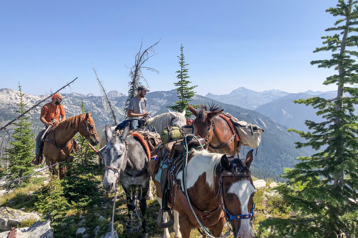 Riders and a loaded pack string stopped on a timbered ridge, peaks behind
