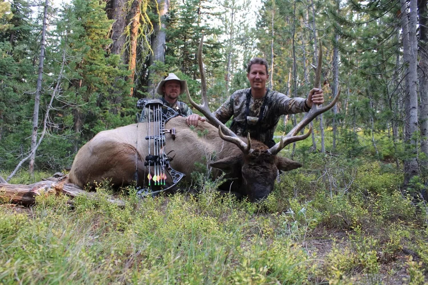 Montana Backcountry Elk & Deer Combo